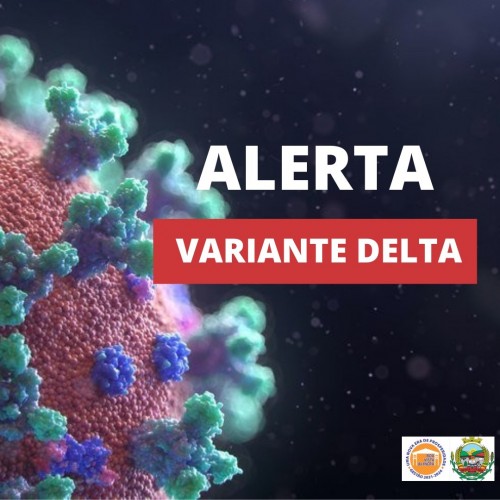 comite-cientifico-emite-nota-tecnica-de-alerta-a-variante-delta