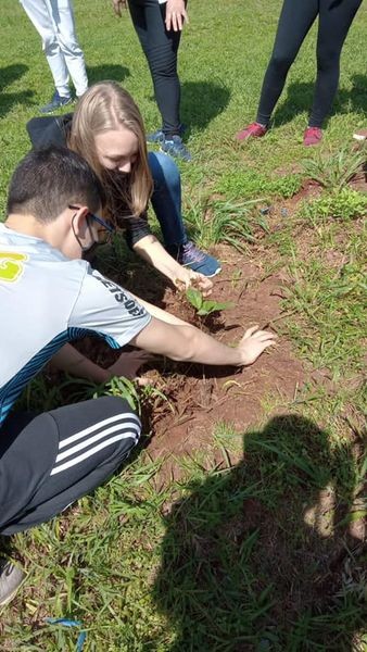 plantio-de-mudas-em-alusao-ao-dia-da-arvore