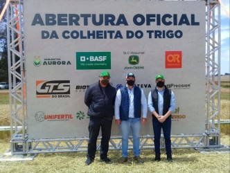 abertura-da-colheita-do-trigo