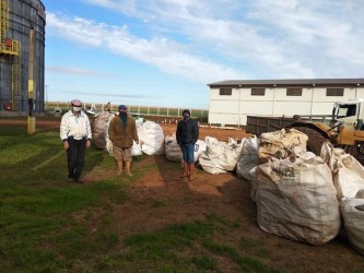 acao-ambiental-recolhe-mais-de-4-mil-embalagens-de-agrotoxicos